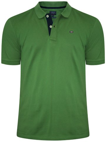 Köp T-shirts online |  Arrow Green Polo T-shirt |  Arek0259 |  Cilory.com